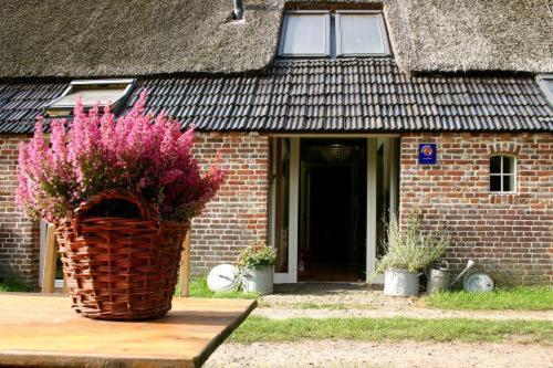 Bed And Breakfast Annen Ngoại thất bức ảnh